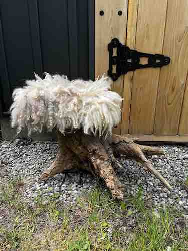 wild wool footstool